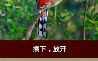 团结合作，共创美好未来（温暖的团队，打败冷酷的命运）