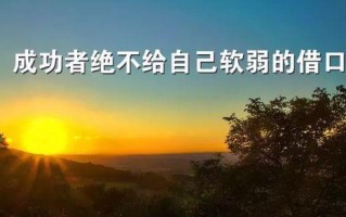 无捷径的成长路(人生没有后悔药,所有成果都要靠自己的努力) 无捷径的成长路(人生没有后悔药,所有成果都要靠自己的努力)