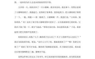 蹦床上的“飞天小女警”（小时候的趣事让我成为了场上的焦点）