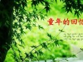 回忆童年：温馨的故事