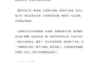 小兔子的奇幻冒险（探索世界的勇敢之旅）