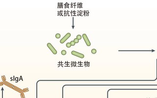 热心肠（班级大家庭中的爱心故事）