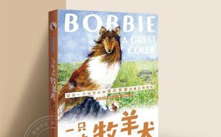 一位奇妙的旅行家（如何寻找自己的伟大）