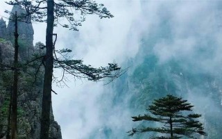 回归自然的旅程（在草原上找到自己）