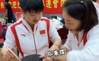 打出你的梦想——乒乓球小将的奋斗（在绿色赛场上拼搏，追逐自己心中的梦想）