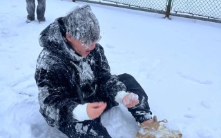 冬日乐趣（一个寒冷的冬日，发生了一场趣味横生的打雪仗）