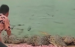 我也想（一个人的勇气和执着）