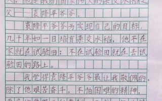 以我最敬佩的人左右（父亲对我的影响）