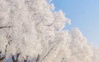冬之画卷：寻找失落的美好
