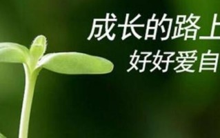 在成长路上坚持不懈（一个普通人的成长故事）