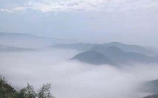 大自然的丰富多彩（在大自然中寻找心灵的宁静）
