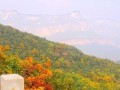 书山处处是风景（一个年轻人的求学之路）