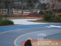 她见证了我们成长（她见证了我们成长）