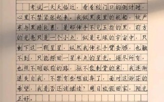 温暖的老师（以老师总能让我拥抱温暖）