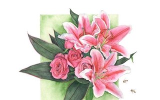 美丽的老师（教育之美）