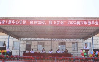 感恩学校，放飞理想（一位小学生的成长之路）