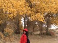 赞歌——让生命在歌声中绽放