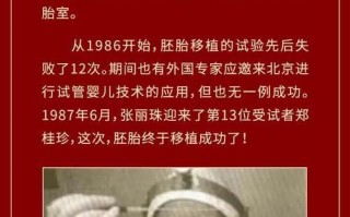 神奇之旅：寻找失落的宝藏