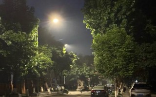 诚实是最珍贵的财富（一场谎言引发的波澜）