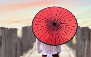 爱在岁月中绽放（一段美丽的亲情故事）