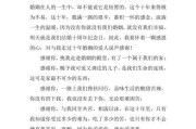 一位年轻人的奋斗之路（一位年轻人的奋斗之路）