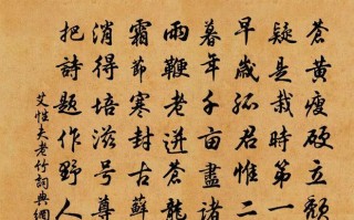 竹韵悠长——一段关于竹子的故事