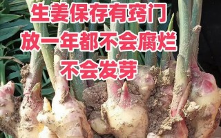 窍门的神奇力量（一个故事，让你惊喜连连）