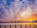 未来的微光（一个小女孩的梦想）