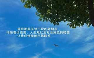 我和小明的美好时光（纯真年代，我们一起追逐梦想）