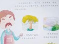 一棵小树的成长历程（一棵小树的成长历程）