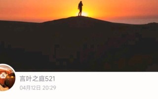 奔跑的劲儿（一个小镇的故事）