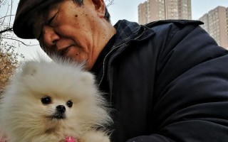 我和狗狗的深情故事：一只狗，一份真情，一生相伴