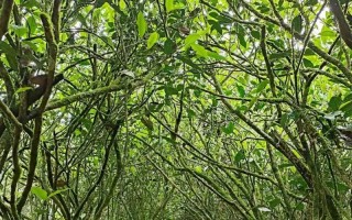 温柔安然，永垂不朽（温暖的触摸，助力人生路）