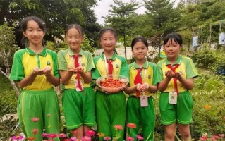 成长点滴：以点滴了我成长的小故事