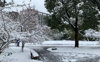 雪花飘落时（一个人的冬日故事）