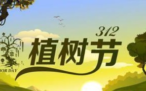 绿色梦想（一群孩子，一个梦想）