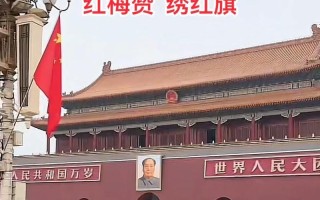 阳光下的歌声（唱响青春）