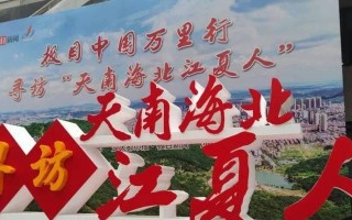 一路寻梦（追寻梦想的艰辛与付出）