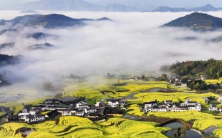 梦中的田园风光（一段关于回归大自然的故事）
