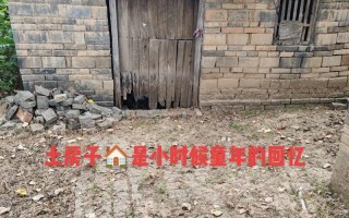 回忆，成长之路（一个女孩用回忆挑战自己）