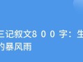 暴风雨下的夜晚（毅力与挑战）