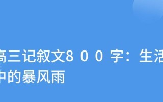 暴风雨下的夜晚（毅力与挑战）