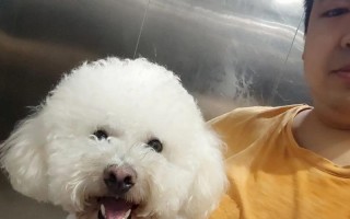 小狗的奇遇记（一只小狗的成长故事）