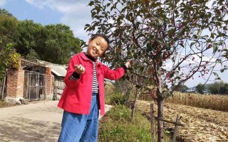 劳动的果实，欢乐的源泉（一个有关劳动与欢乐的小故事）