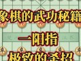 梦幻棋谭（一个爱好者的人生经历）