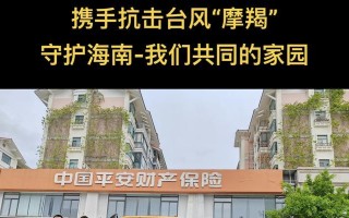共同的家园（一个人与自然和谐共处的故事）
