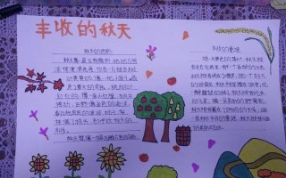 一份收获（努力之后的喜悦）