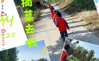 小女孩的田野探险（探索自然的美妙与奥秘）