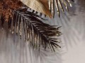 幸福不期而遇（一个关于爱情和友谊的故事）