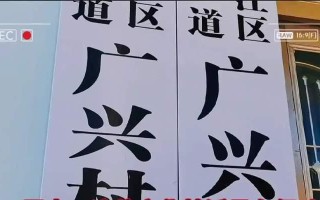 嘹亮歌声：唱响青春梦